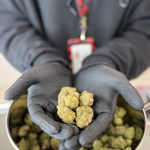 @hierbagurabo Photo by Hierba on January 31, 2025.